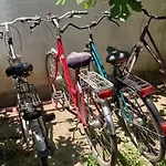 بيت شباب Blissful Family And Cozy شكودر