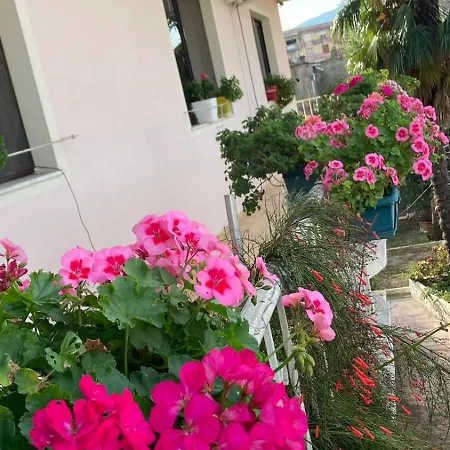 Blissful Family And Cozy 旅馆 Shkodër