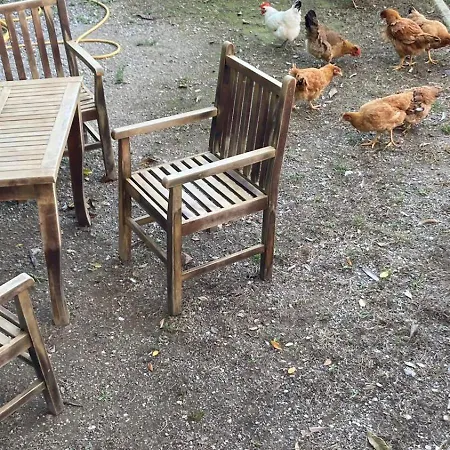 Blissful Ostello Shkodër