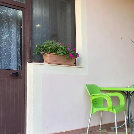 Blissful Shkodër