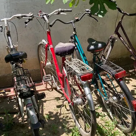 Hostel Blissful Shkodra