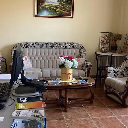 Blissful Family And Cozy