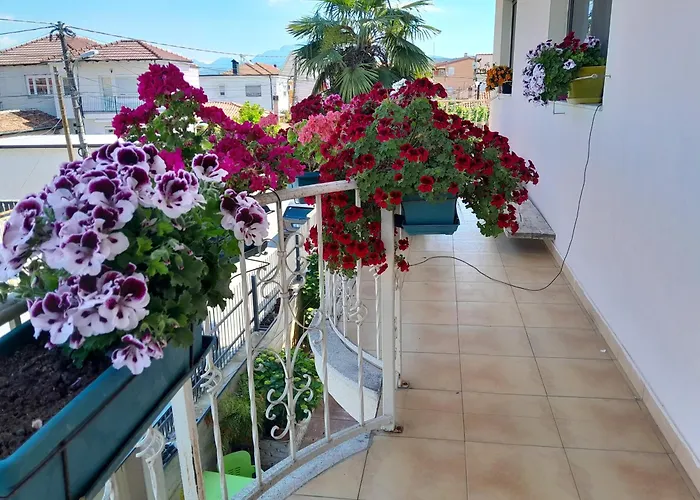 Auberge de jeunesse Blissful