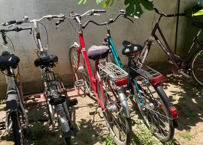 Hostel Blissful Szkodra