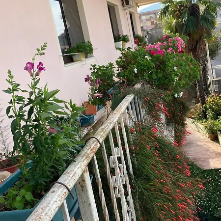 Blissful Shkoder