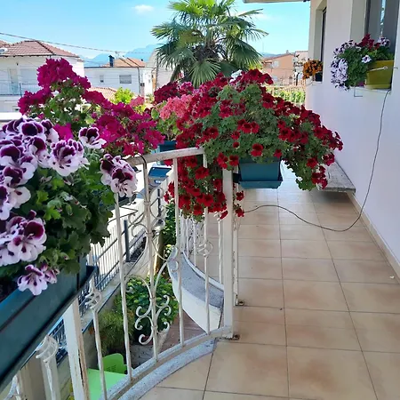 Albergue Blissful Family And Cozy