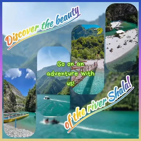 Blissful * Shkoder