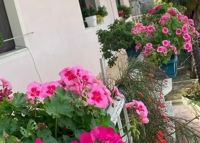 Blissful Hostel Shkodër